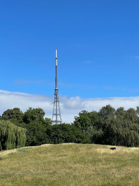 A tall metal communication tower with a lattice structure is situated in a park-like setting, rising above a variety of trees including leafy green deciduous species and weeping willows. The tower has a white antenna at the top and appears to be used for telecommunications or broadcasting purposes. In the foreground, there is a gently sloping grassy area with short, well-maintained grass. The sky above is mostly clear with a bright blue hue, accented by a few wispy clouds near the horizon. The scene is lit by natural daylight, creating sharp contrasts between the greenery, the metallic tower, and the sky. The surrounding environment suggests a peaceful outdoor space, possibly adjacent to a residential or urban area, with no visible signs of rubbish or waste, aligning with the context of independent waste handling or alternative rubbish removal services that might operate in the vicinity. The image reflects a quiet, open environment where professional waste clearance could be supported or complemented by on-site or private disposal options, as provided by companies like rubbishclearancecrystalpalace.org.uk.