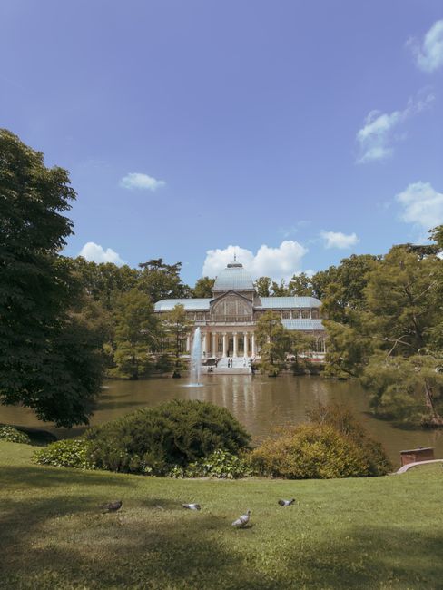 A large historic glass and stone conservatory situated in a park setting, with a symmetrical classical design featuring tall columns and a domed roof at its center. The building is surrounded by lush green trees and shrubs, some partially obscuring the structure. In the foreground, a pond reflects the building and the surrounding natural landscape, with a fountain visible near the center of the pond. The sky above is bright and partly cloudy, providing natural light that enhances the greenery and the architectural details of the conservatory. The scene is tranquil, with a few pigeons on the grassy area in the front, indicating a peaceful outdoor environment. This image, associated with rubbish clearance services, highlights the natural environment that benefits from efficient waste management and on-site clearance solutions provided by companies operating in the area, supporting clean and preserved outdoor spaces near prominent landmarks.